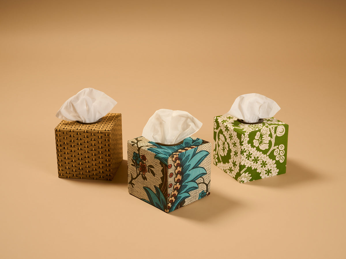 Antoinette Poisson Tissue Box Torrent