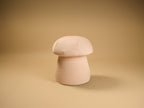 Toadstool