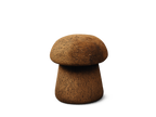 Toadstool